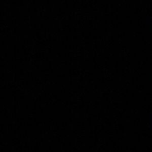 Meet your Posher, Bianca